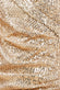 Bardot Sequin Pleated Maxi Dress DR3643QZ