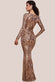 Embroidered Sequin & Mesh Maxi Dress DR2558