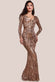 Embroidered Sequin & Mesh Maxi Dress DR2558