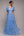 
          CornflowerBlue
          