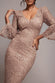 Scalloped Sequin Embroidered Chorded Lace Midi Dress DR3960
