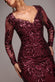 Long Sleeve Sequin Leaf Long Sleeve Maxi Dress DR4359