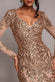 Long Sleeve Sequin Leaf Long Sleeve Maxi Dress DR4359