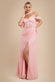 Scalloped Lace & Chiffon Winged Corset Bodice Maxi Dress DR4397