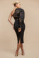 One Shoulder Organza  Fan Detail Lace Bodice Midi Dress DR4607