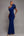 
          RoyalBlue
          