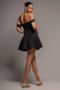 Sparkle Chiffon Cowl Bardot Skater Mini Dress DR4709