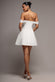 Sparkle Chiffon Cowl Bardot Skater Mini Dress DR4709