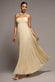 SLEEVELESS PLEATED CHIFFON MULTIWAY SCARF MAXI DRESS BY GODDIVA DR4829
