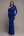 
          RoyalBlue
          