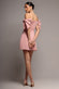 BARDOT PLUNGE NECK BOW SLEEVE SKATER MINI DRESS DR5125