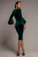 PETAL BOW SLEEVE FRILL VELVET MIDI DRESS DR5165