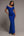 
          RoyalBlue
          