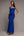 
          RoyalBlue
          