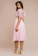Embroidered Top Chiffon Pleated Midi DR3802