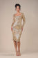 Sequin Square Neck Bodycon Midi Dress With Scalloped Hem DR4123