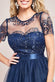 Ornate Embroidered Bodice Mesh Maxi Dress DR3584