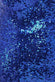 Plus Size V Neck Sequin Maxi Dress With Long Sleeves DR1009P