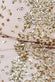Plus Spread On Sequin Maxi Dress DR3029AP
