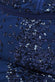 Plus Spread On Sequin Maxi Dress DR3029AP