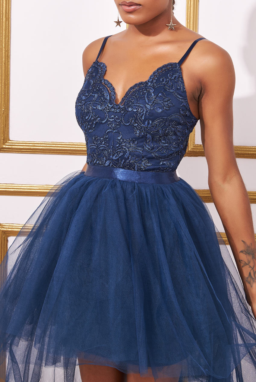 Embroidered Lace Bodice With Ballet Tulle High Low Dress DR3061