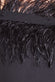 Off The Shoulder Feather Midi Dress DR3200P