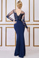Embroidered Mesh & Scuba Maxi DR3291