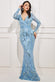 Long Sleeve V Neck Sequin Maxi Dress DR3421