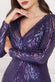 Dual Tone Patterned Sequin Maxi Dress DR3494
