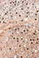 Naked Sheer Sequin Bodycon Midi Dress DR3514