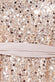 Sequin And Pearl Embroidered Sheer Dipped Hem Mini Dress DR3515