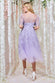 Embroidered Mesh Midi Dress DR3594A