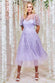 Embroidered Mesh Midi Dress DR3594A