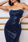 Patterned Sequin Velvet Bandeau Midi Dress DR3718