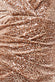 Sequined Velvet Bardot Midi Dress DR3720