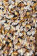 Leaf Print Shirred Back Midi Dress DR3767B