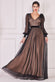 Corsage V-Neck Dobby Mesh Maxi Dress DR4001