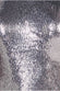 Liquid Sequin Halterneck Mini With Corsage DR4125