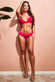 Ruffle Brief Buckle Bikini SW124