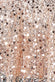 Sequin And Pearls Sheer Top T189