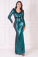 Liquid Sequin Corsage Maxi Dress DR4056