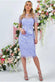 Embroidered Mesh & Lace Midi Scalloped Hem DR3251