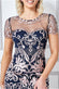 Embroidered Mesh & Lace Midi Scalloped Hem DR3251