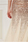 Sequin And Chiffon Maxi Dress DR627