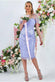 Embroidered Mesh & Lace Midi Scalloped Hem DR3251