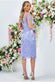 Embroidered Mesh & Lace Midi Scalloped Hem DR3251