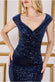 Sequin & Velvet Bardot Maxi Dress DR3623